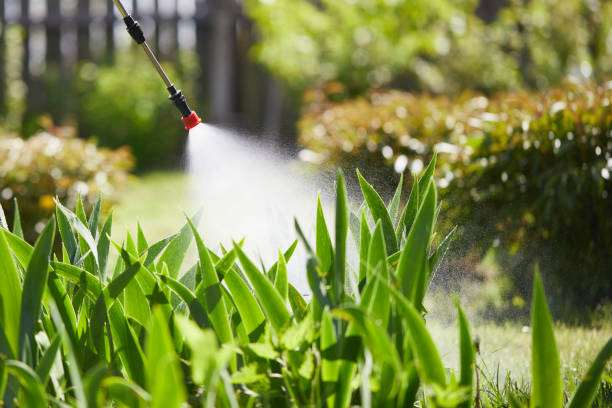 Tamper-Resistant Bait Stations for Rodents in Montgomery Village
