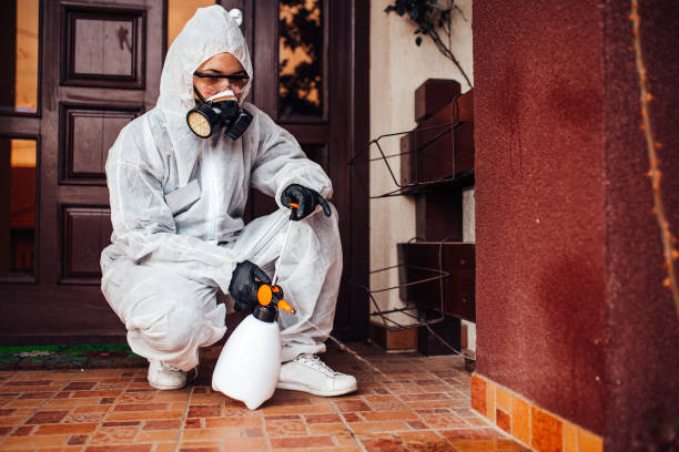 Attic and Crawl Space Rodent Treatment in Montgomery Village