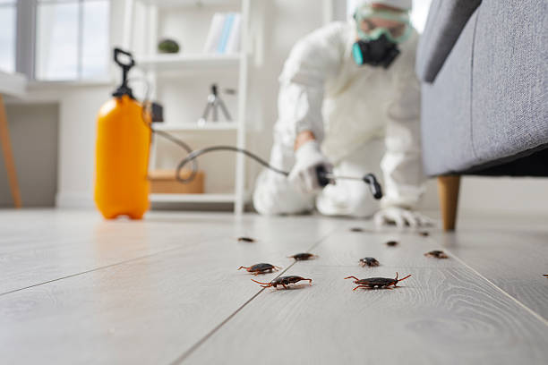 Commercial Rodent Management in Montgomery Village